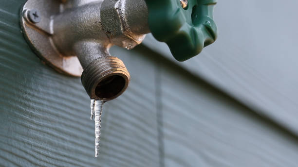 Best Sewer Line Replacement  in Mickleton, NJ